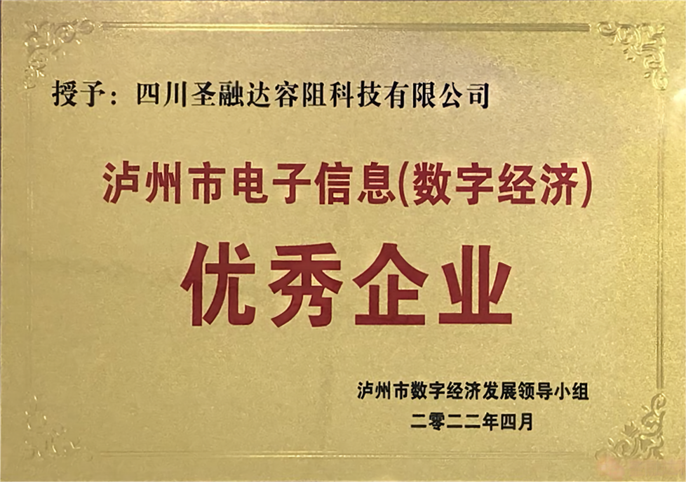 瀘州市電子信息（數(shù)字經(jīng)濟(jì)）優(yōu)秀企業(yè)